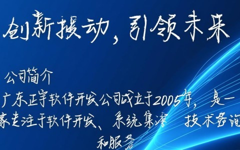 广东正宇软件开发公司，这家企业有何独特之处，为何备受关注？