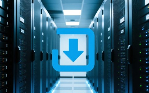 服务器资源管理软件下载哪个好？免费版和付费版怎么选？