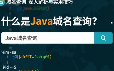 Java域名查询工具真的能准确吗？揭秘Java域名查询的真相与局限！