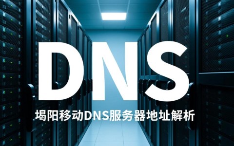 揭阳DNS服务器地址，揭阳移动DNS服务器地址，究竟哪个更稳定高效？