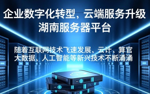 湖南服务器平台，究竟有何独特优势，引领行业风向标？