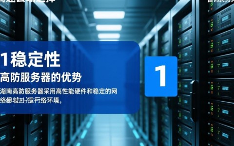 湖南高防服务器选购时，如何判断性价比与稳定性？