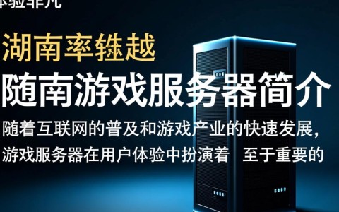 湖南游戏服务器为何如此火爆？揭秘湖南地区玩家热衷之谜！