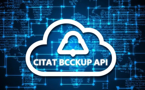 云备份API中的删除策略（DeletePolicy）是如何有效执行的？