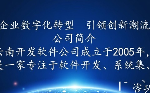 云南开发软件公司，他们是如何在软件领域取得突破的？