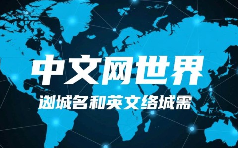 中文域名与英文域名的差异及其应用场景，您了解多少？