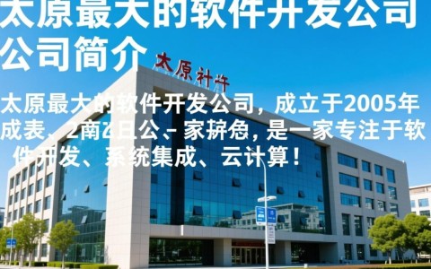 太原最大软件开发公司，业务领域和成功案例都有哪些？