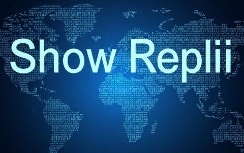 ShowReplicationCapabilities云备份API，如何确保查询复制能力的可保护性？