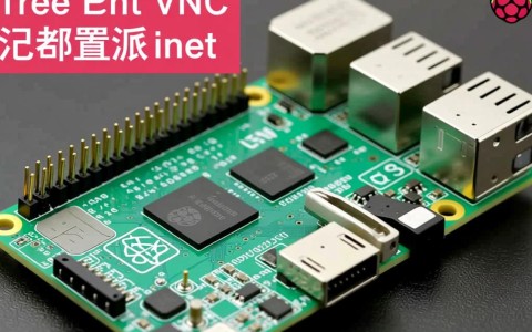 树莓派vnc配置时遇到问题？如何高效解决？30字长尾疑问标题，树莓派VNC配置难题详解，高效解决攻略分享！