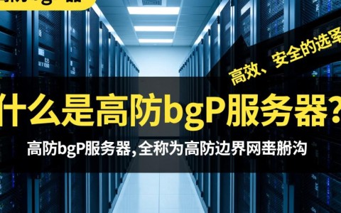 湖南高防bgp服务器，为何选择它？性价比与稳定性如何？