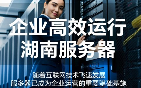 湖南服务器大带宽，为何如此受欢迎？性价比之谜揭晓！