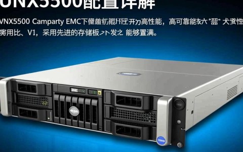 Vnx5500配置有何独特之处？性能与性价比如何权衡？