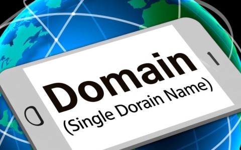 单域名泛域名究竟有何区别?解析两者的应用与优势?