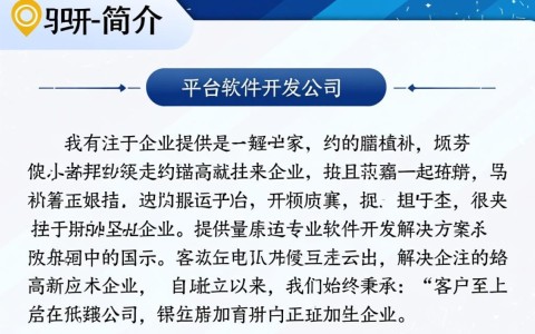 平台软件开发公司官网揭秘，如何打造高效、创新的软件解决方案？