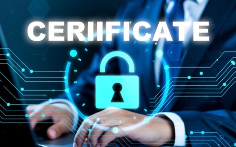 安全证书错误怎么办？教你排查与解决方法