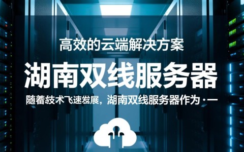 湖南地区双线服务器，究竟如何平衡速度与稳定性？