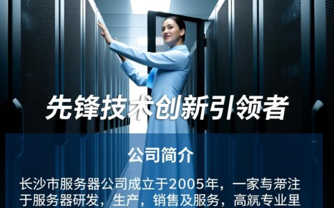 长沙市服务器公司，为何成为行业翘楚，市场前景如何？