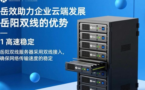 岳阳地区双线服务器，为何如此受欢迎？揭秘其独特优势！