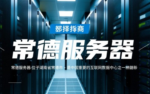 常德服务器和托管服务，有何独特优势与特点？