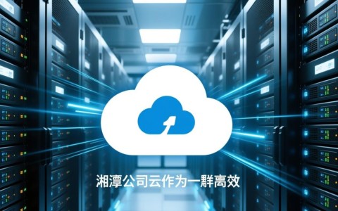 湘潭公司云服务器性能如何？性价比对比分析及选购建议？