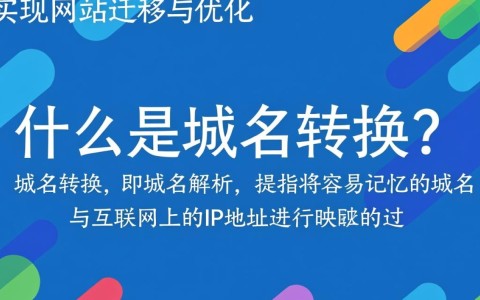 域名转换域名这一过程有何特别之处，转换中可能遇到哪些问题？
