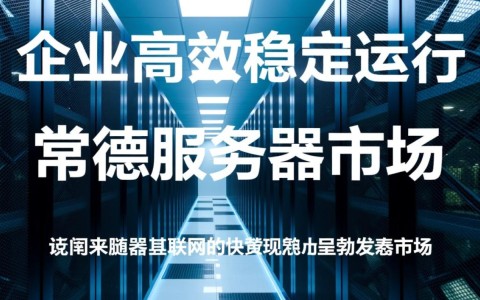 常德服务器排名背后，是哪些因素决定其地位？揭秘服务器排名背后的秘密！