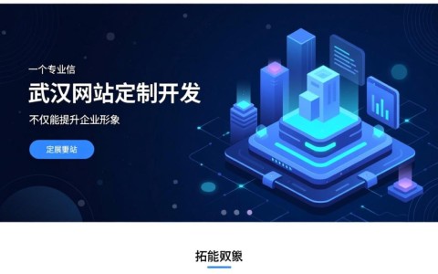 如何甄别可信的武汉网站定制开发？揭秘优质服务关键因素！