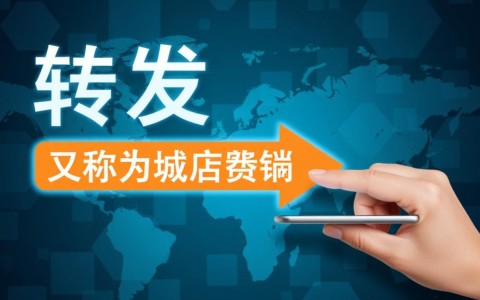 域名转发域名为何如此重要？揭秘其在网络中的关键作用？