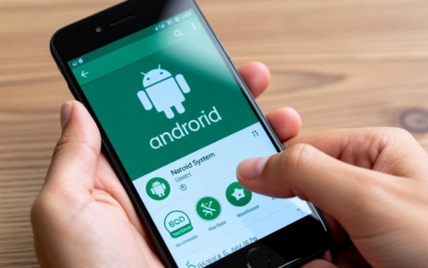 开发一个安卓小app，有哪些关键步骤和注意事项？