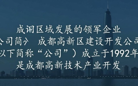 成都高新区建设开发公司，其发展模式与未来规划有何独特之处？