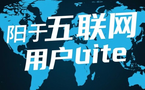 在域名域名价值的背景下，如何准确评估和提升个人或企业域名的价值？