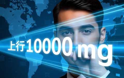 上行10000兆带宽的CDN服务，每日费用是多少？性价比如何？