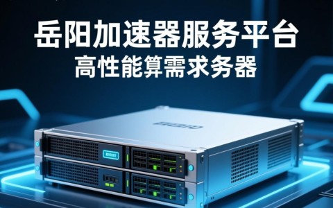 岳阳加速器服务器，性能如何？性价比怎样？值得投资吗？