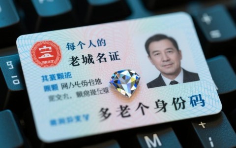 老域名域名为何在搜索引擎中更有优势，背后原因揭秘？