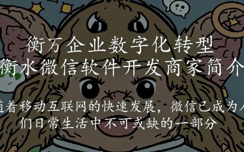 衡水微信软件开发商家，如何确保项目质量与客户满意度？