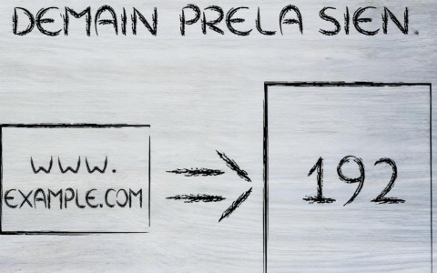 万维网域名解析的详细过程和原理是什么？