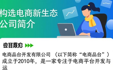 电商品台开发有限公司的商业模式创新与行业挑战，您怎么看？