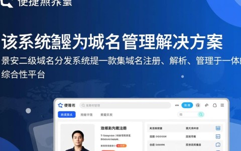 景安二级域名分发系统，如何实现高效、安全的域名管理？