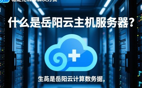 岳阳云主机服务器哪家性价比更高？使用体验如何？