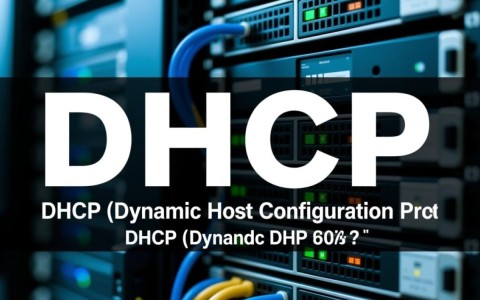 Server 2008配置DHCP时遇到问题？30招快速排查与解决技巧揭秘！