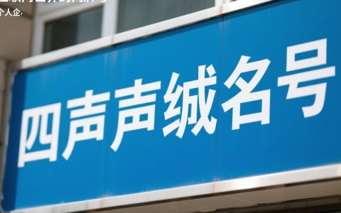 四声母域名究竟包含多少种独特组合？