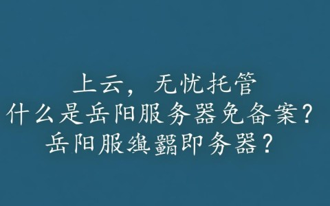 岳阳服务器免备案真的可行吗？背后有何风险与限制？