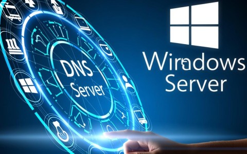 如何有效监控Windows DNS服务器性能，确保网络稳定运行？