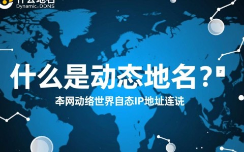 金万维动态域名免费版，究竟有何独特优势，值得关注？