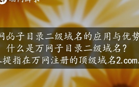万网子目录二级域名如何选择？使用技巧揭秘！