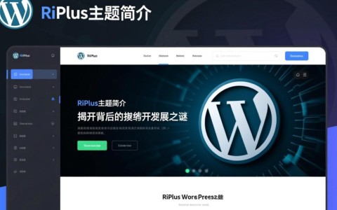 RiPlus主题究竟是由哪位开发者精心打造的？