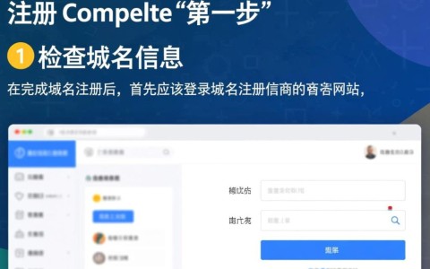 买完域名后，是直接建站还是先做SEO？详细步骤解析揭秘！