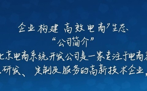北京电商系统开发公司，如何选择最适合自己的解决方案？