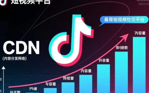 抖音年度cdn费用究竟高达多少？背后成本揭秘！