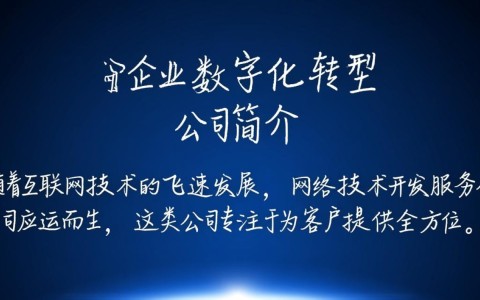 网络技术开发服务公司为何在市场上独树一帜，其核心竞争力究竟是什么？
